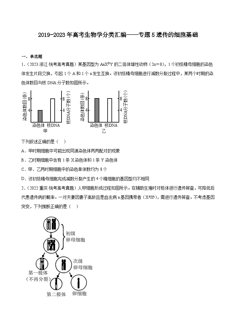 2019-2023年高考生物学分类汇编——专题5遗传的细胞基础（原卷版）第1页