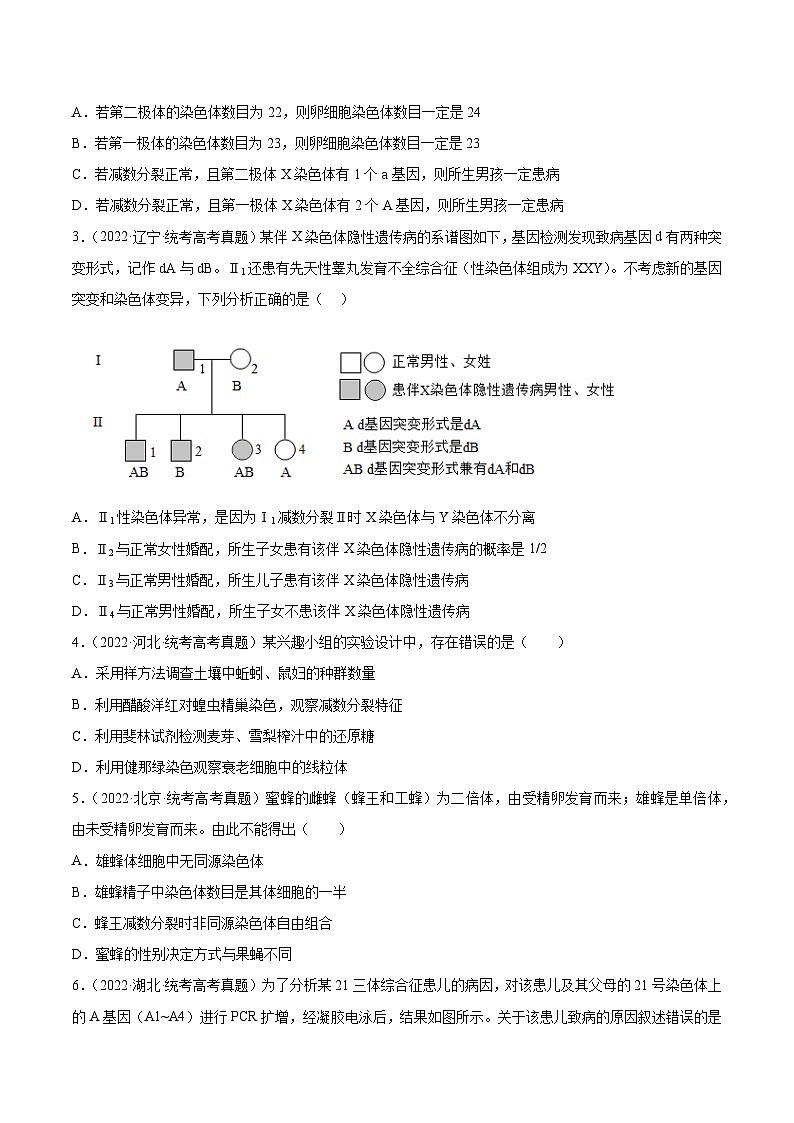 2019-2023年高考生物学分类汇编——专题5遗传的细胞基础（原卷版）第2页