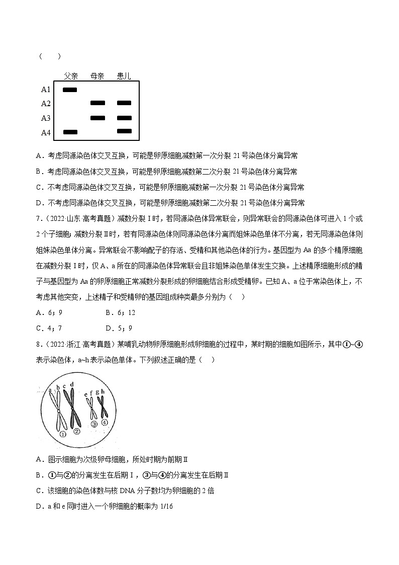 2019-2023年高考生物学分类汇编——专题5遗传的细胞基础（原卷版）第3页
