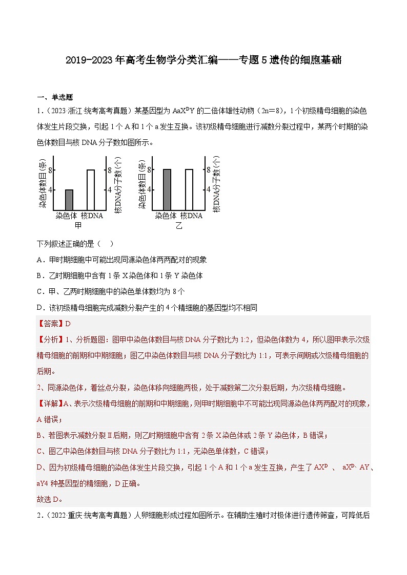 2019-2023年高考生物学分类汇编——专题5遗传的细胞基础（解析版）第1页