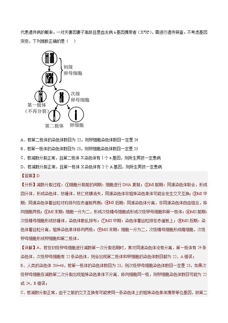 2019-2023年高考生物学分类汇编——专题5遗传的细胞基础（解析版）第2页