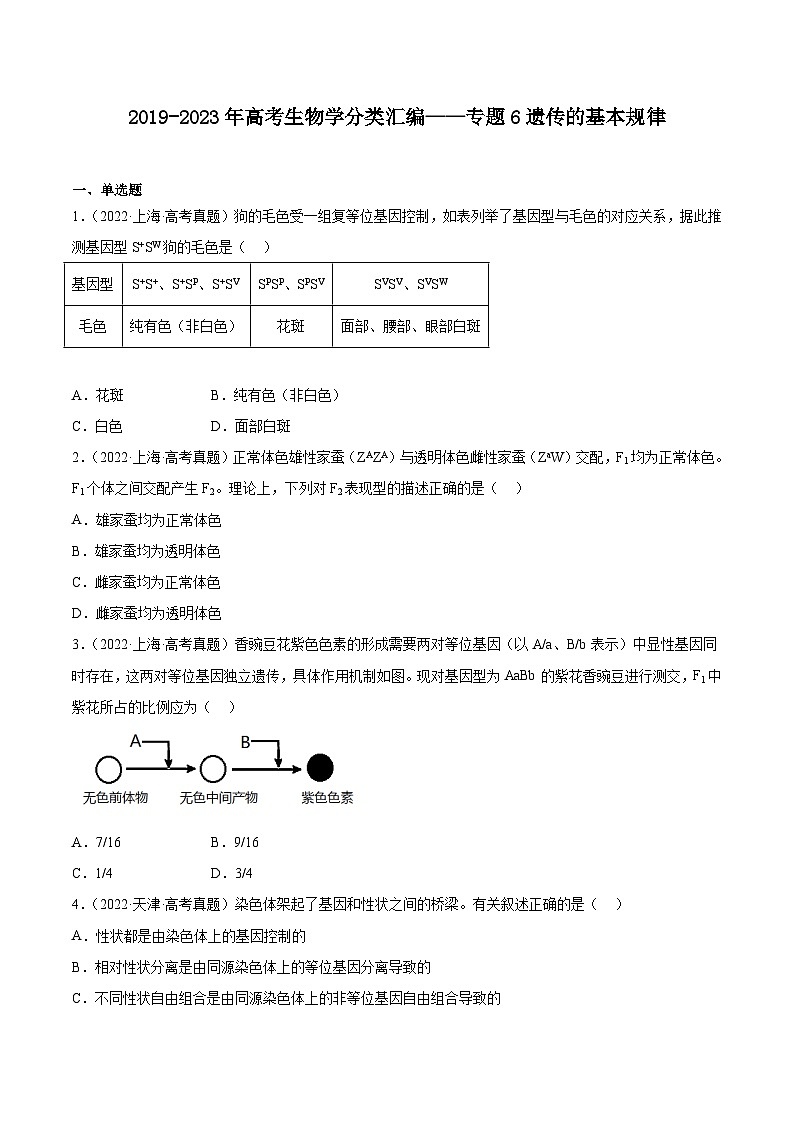 2019-2023年高考生物学分类汇编——专题6遗传的基本规律（原卷版）第1页