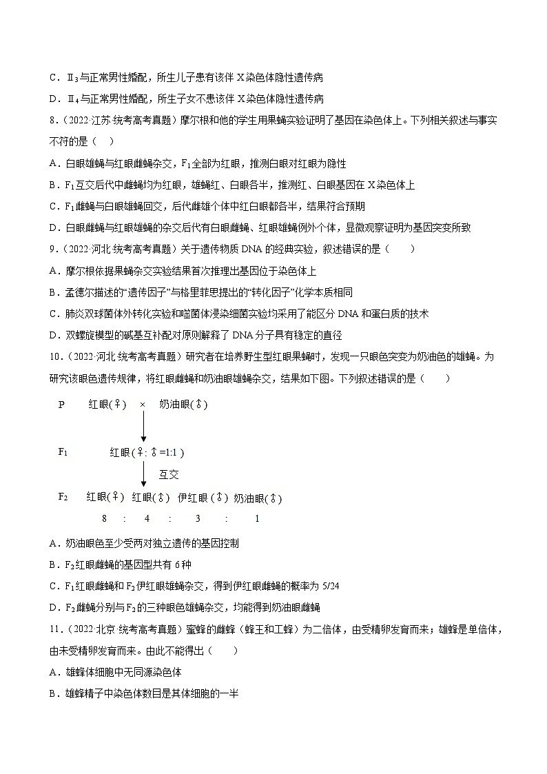 2019-2023年高考生物学分类汇编——专题6遗传的基本规律（原卷版）第3页