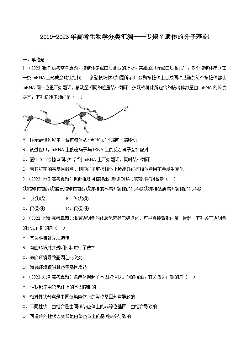 2019-2023年高考生物学分类汇编——专题7遗传的分子基础01