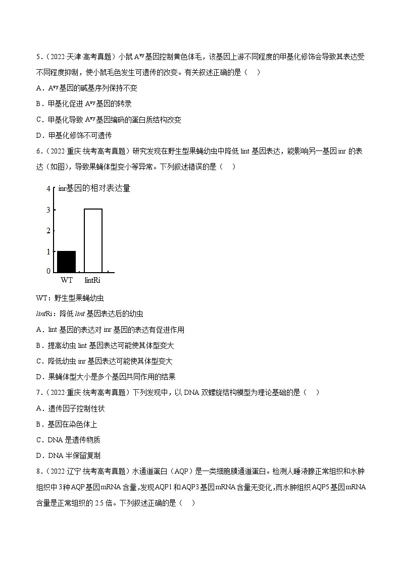 2019-2023年高考生物学分类汇编——专题7遗传的分子基础02