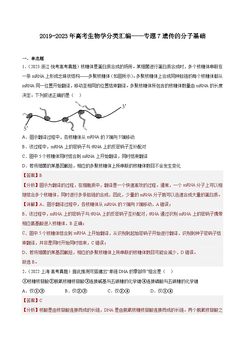 2019-2023年高考生物学分类汇编——专题7遗传的分子基础01