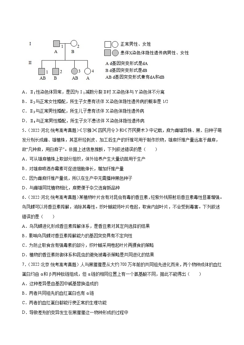 2019-2023年高考生物学分类汇编——专题8生物的变异与育种（原卷版）第2页
