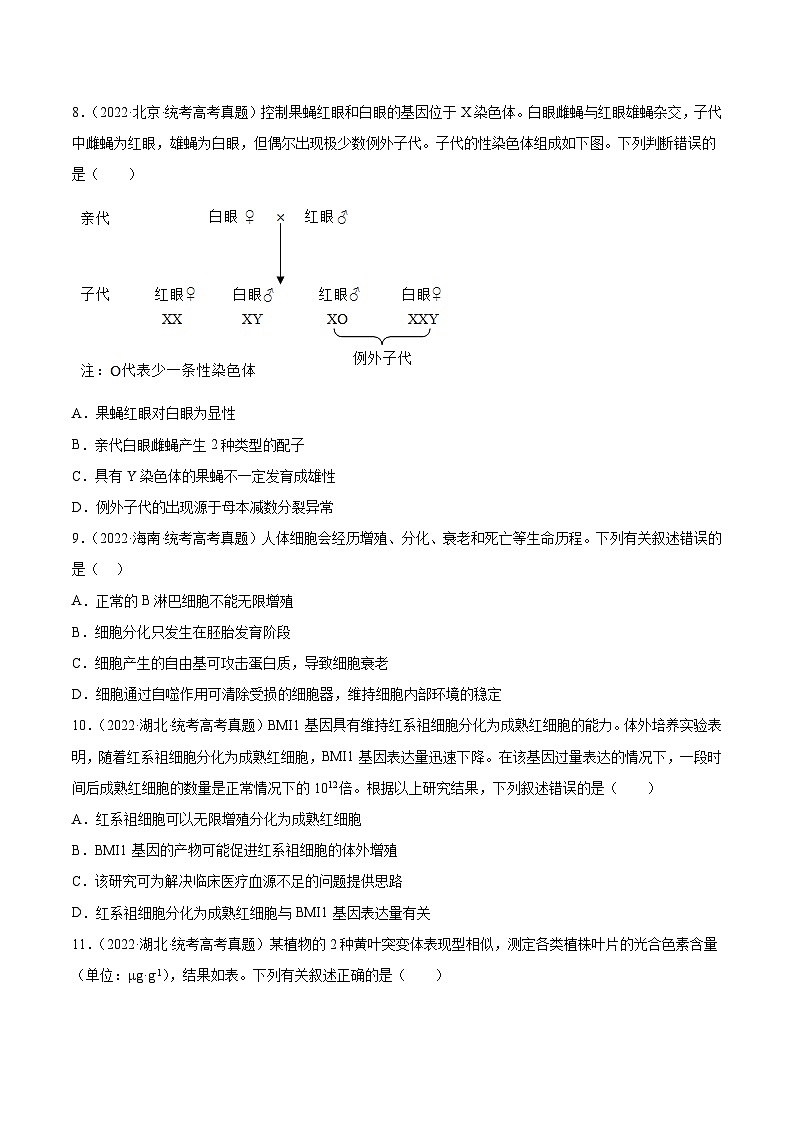 2019-2023年高考生物学分类汇编——专题8生物的变异与育种（原卷版）第3页