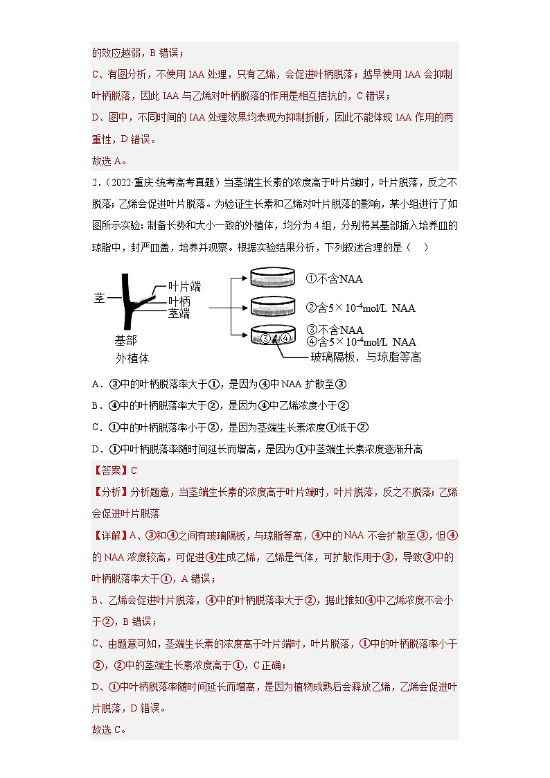 2019-2023年高考生物学分类汇编——专题15植物生命活动的调节（解析版）第2页