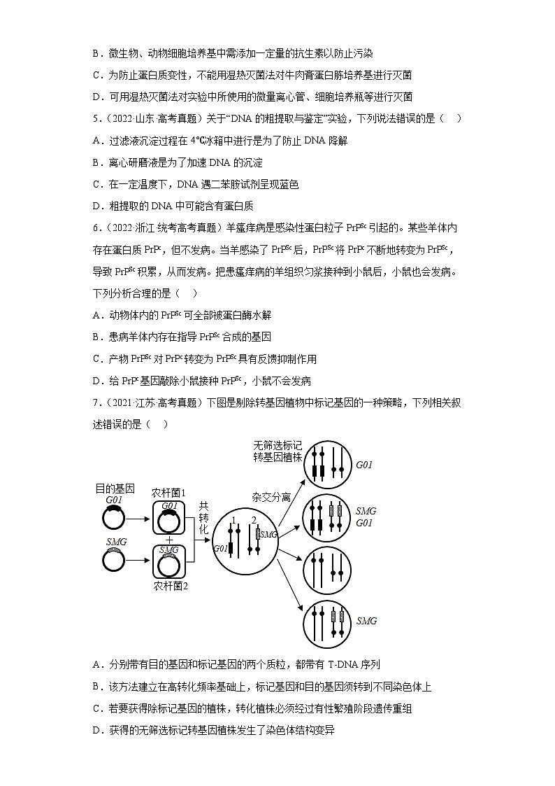 2019-2023年高考生物学分类汇编——专题20基因工程（原卷版）第2页