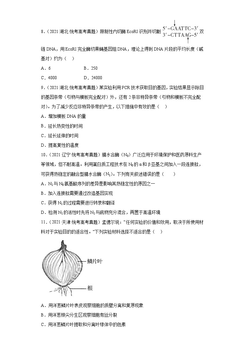 2019-2023年高考生物学分类汇编——专题20基因工程（原卷版）第3页