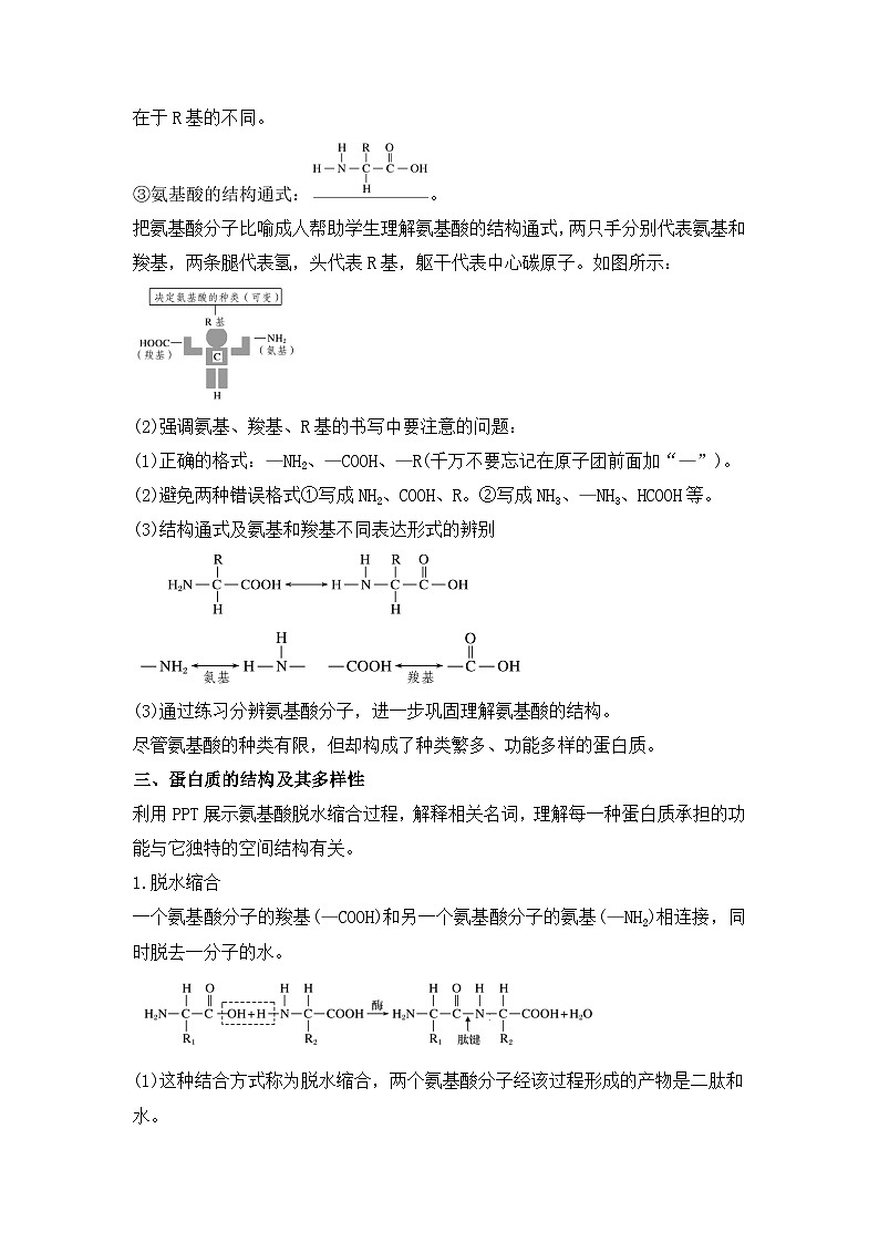 3.3 蛋白质（ 教学设计）-高一上学期生物同步精品课堂（北师大版2019必修1）第3页
