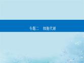 2023高考生物二轮专题复习与测试专题二第3讲酶和ATP课件