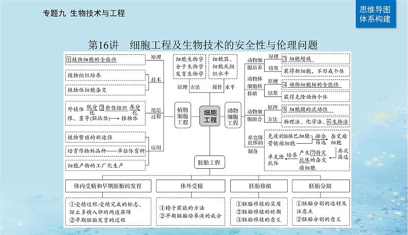 2023高考生物二轮专题复习与测试专题九第16讲细胞工程及生物技术的安全性与伦理问题课件02