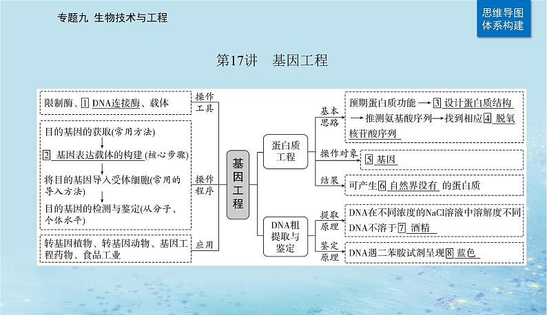 2023高考生物二轮专题复习与测试专题九第17讲基因工程课件02