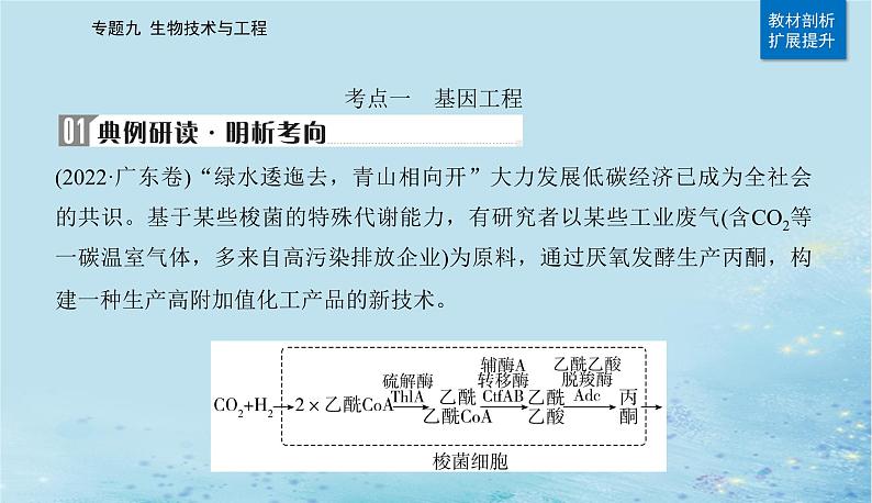 2023高考生物二轮专题复习与测试专题九第17讲基因工程课件07