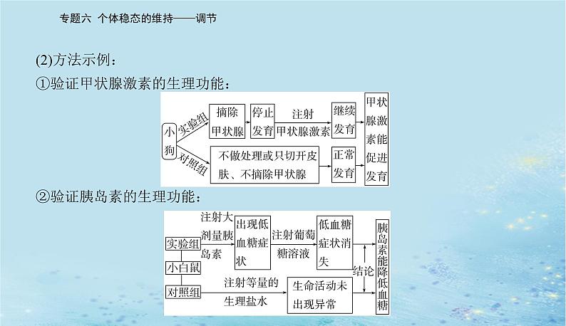 2023高考生物二轮专题复习与测试专题六高考命题热点七课件第5页