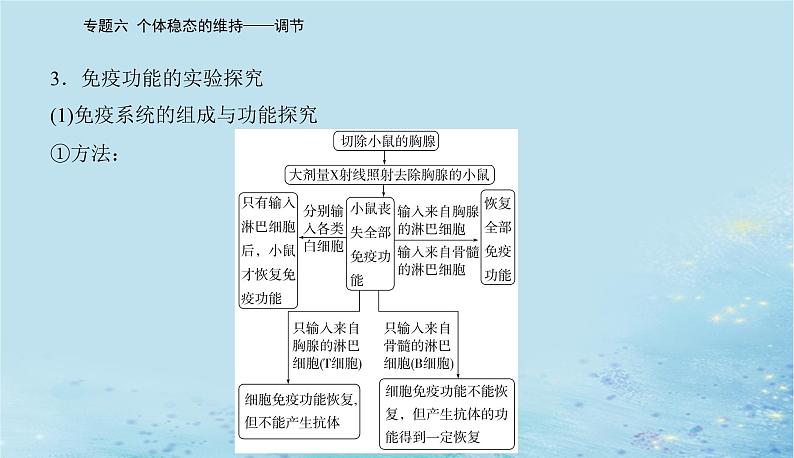 2023高考生物二轮专题复习与测试专题六高考命题热点七课件第7页