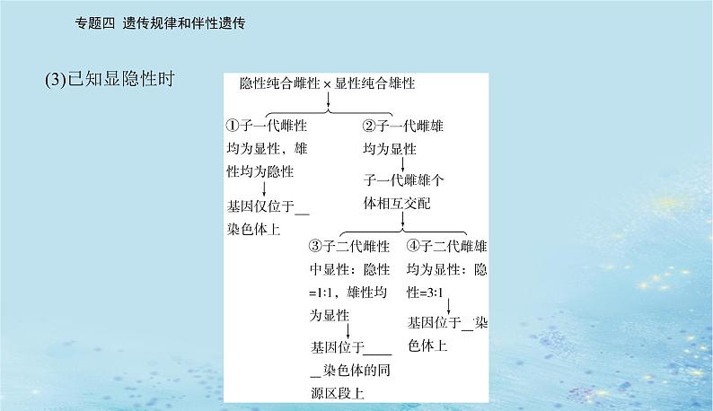 2023高考生物二轮专题复习与测试专题四高考命题热点五课件第4页