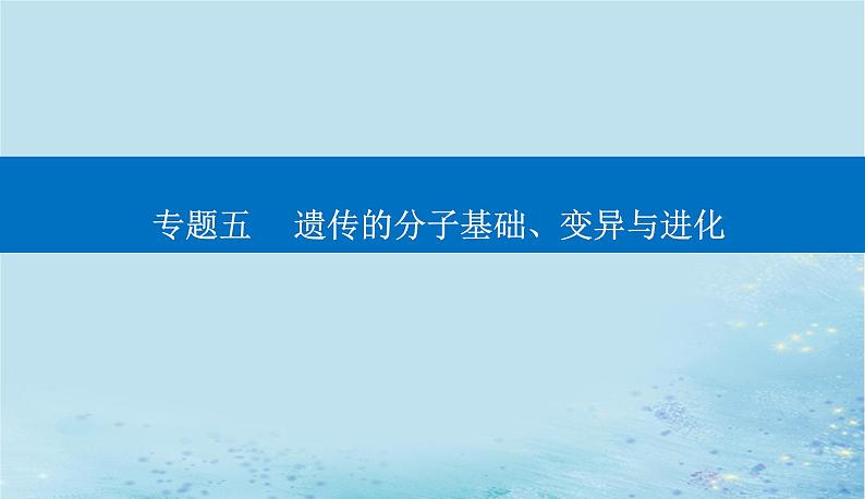 2023高考生物二轮专题复习与测试专题五第8讲生物的变异与进化课件01