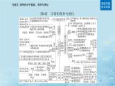 2023高考生物二轮专题复习与测试专题五第8讲生物的变异与进化课件