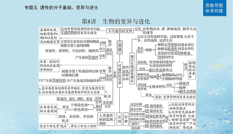 2023高考生物二轮专题复习与测试专题五第8讲生物的变异与进化课件02