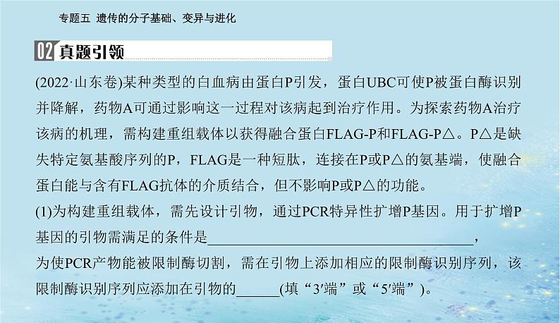 2023高考生物二轮专题复习与测试专题五高考命题热点六课件03