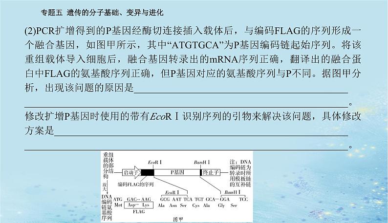 2023高考生物二轮专题复习与测试专题五高考命题热点六课件04