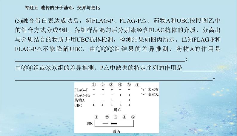 2023高考生物二轮专题复习与测试专题五高考命题热点六课件05