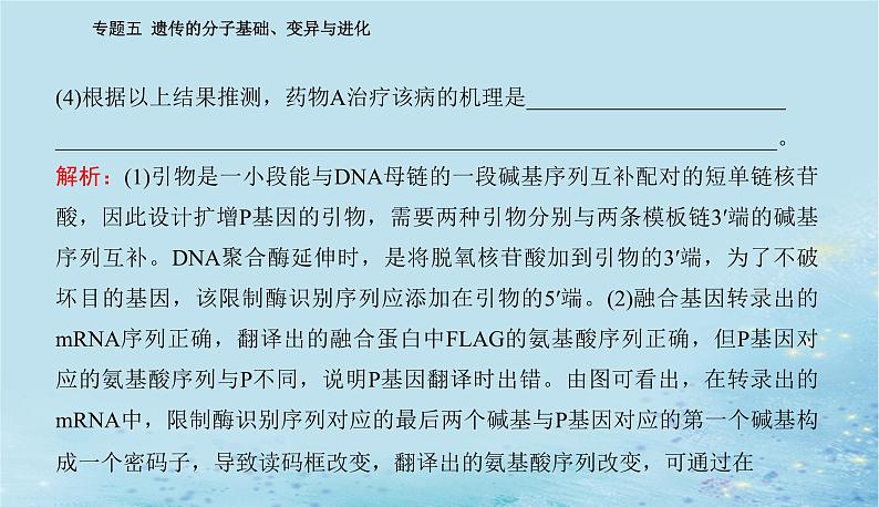 2023高考生物二轮专题复习与测试专题五高考命题热点六课件06