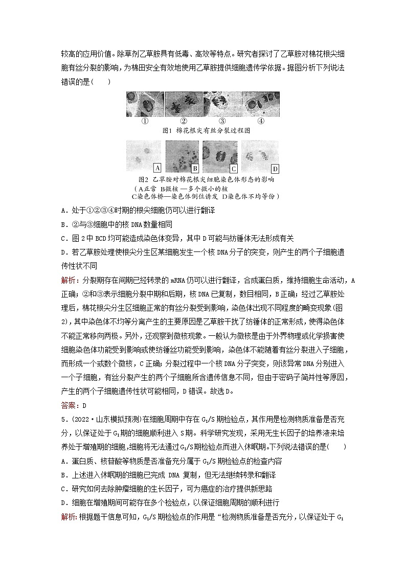 2023高考生物二轮专题复习与测试专题强化练五细胞的生命历程含减数分裂和受精作用第3页