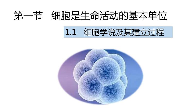 1.1细胞学说及其建立过程课件PPT01