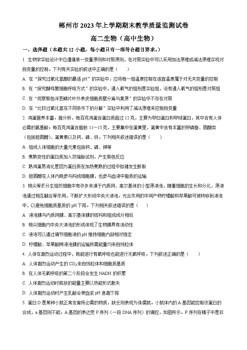 2023郴州高二下学期期末生物试卷含解析01