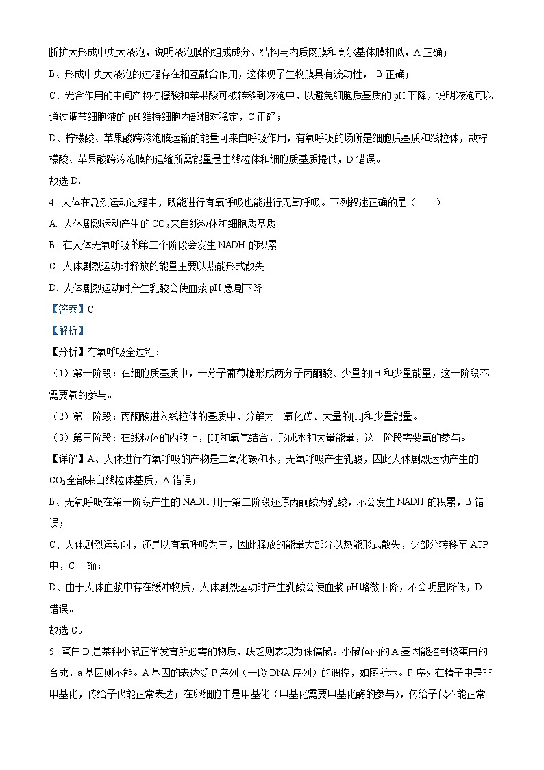 2023郴州高二下学期期末生物试卷含解析03