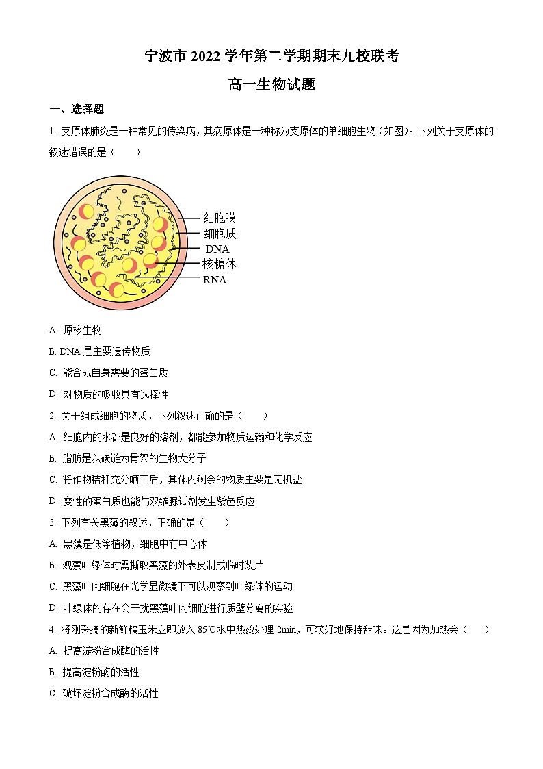 2023宁波九校高一下学期期末联考生物试题含解析01