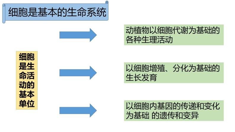 2019人教版  第1节 细胞是生命活动的基本单位课件PPT07