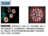 2019人教版  第1节 细胞是生命活动的基本单位——病毒专题拓展课件PPT