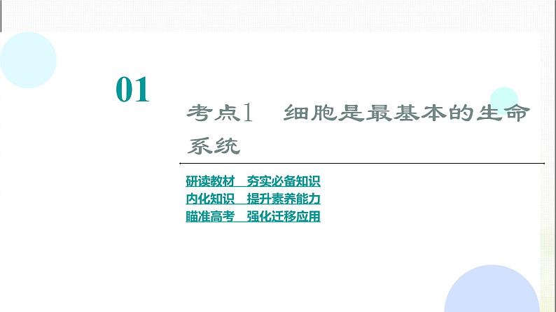 2024届人教版高考生物一轮复习走近细胞课件04