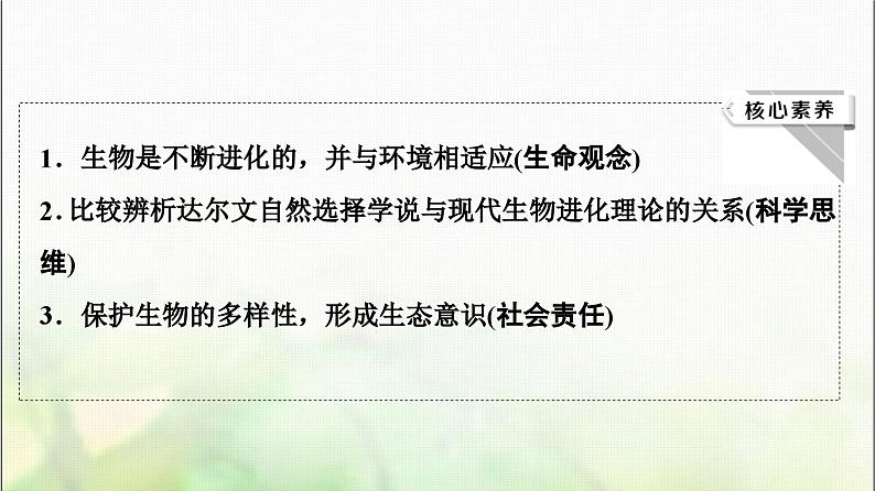 2024届人教版高考生物一轮复习现代生物进化理论课件第3页