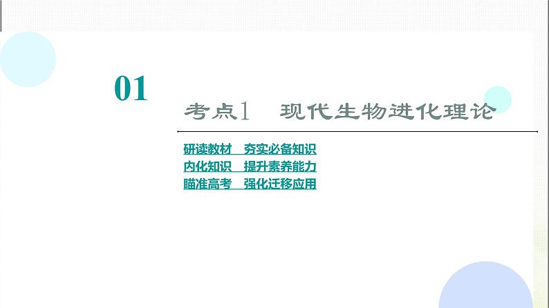 2024届人教版高考生物一轮复习现代生物进化理论课件第4页