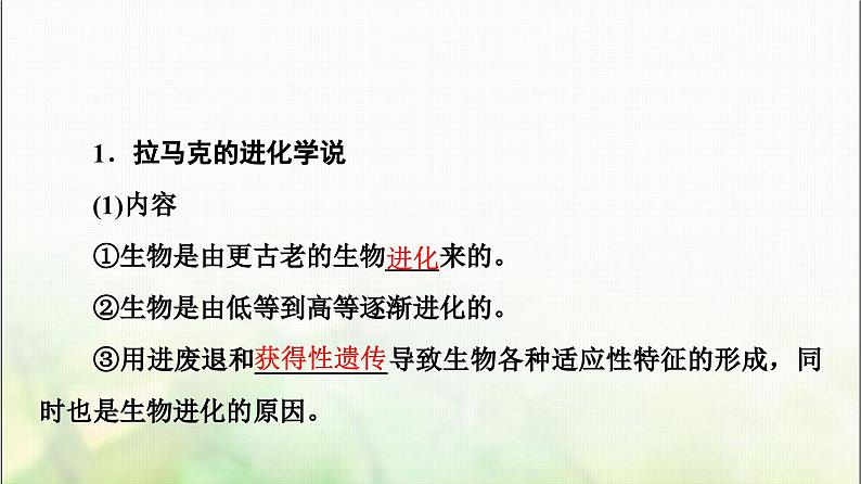 2024届人教版高考生物一轮复习现代生物进化理论课件第5页