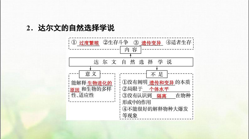 2024届人教版高考生物一轮复习现代生物进化理论课件第7页