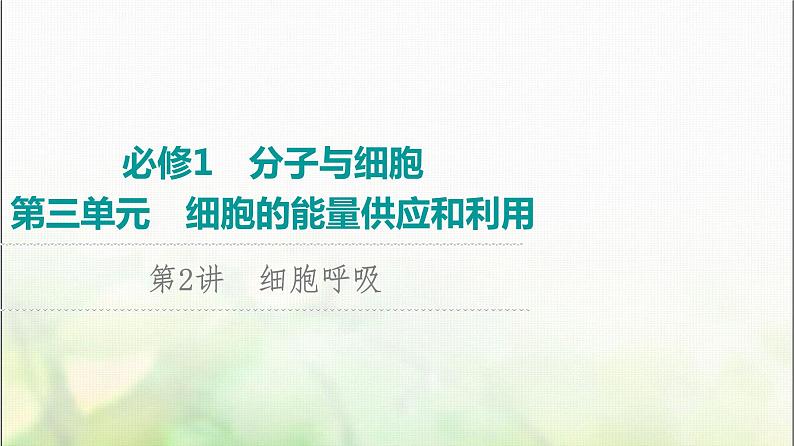 2024届人教版高考生物一轮复习细胞呼吸课件第1页
