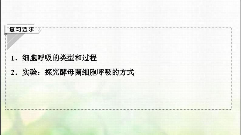 2024届人教版高考生物一轮复习细胞呼吸课件第2页