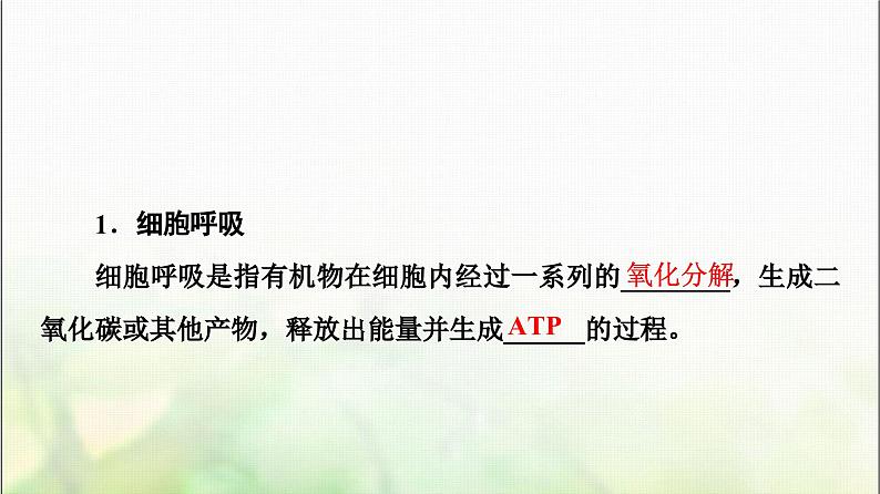 2024届人教版高考生物一轮复习细胞呼吸课件第5页