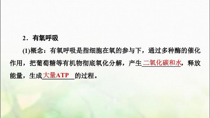 2024届人教版高考生物一轮复习细胞呼吸课件第6页