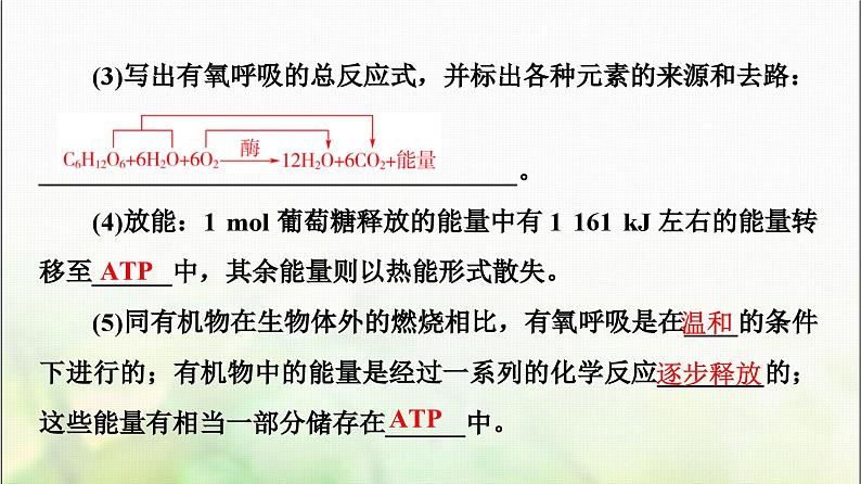 2024届人教版高考生物一轮复习细胞呼吸课件第8页