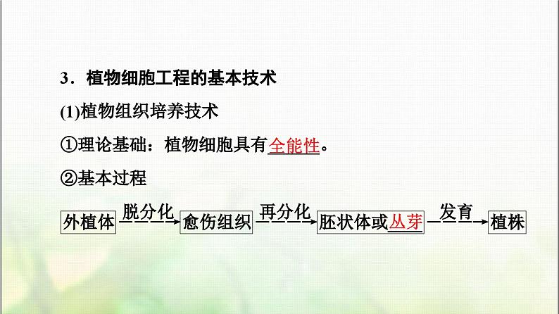 2024届人教版高考生物一轮复习细胞工程课件第7页