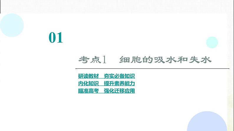 2024届人教版高考生物一轮复习细胞的物质输入和输出课件第4页