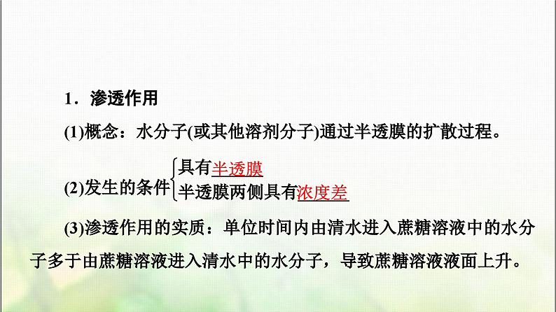 2024届人教版高考生物一轮复习细胞的物质输入和输出课件第5页